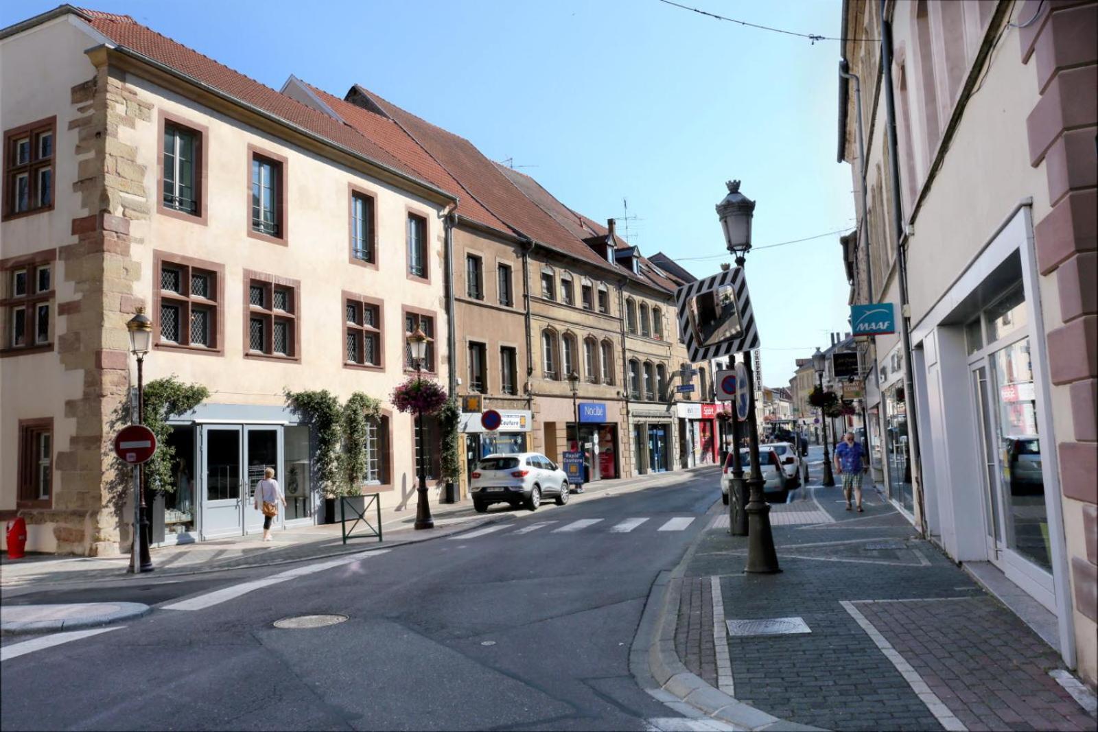 Petit Cocon Apartment Saint-Avold Bagian luar foto